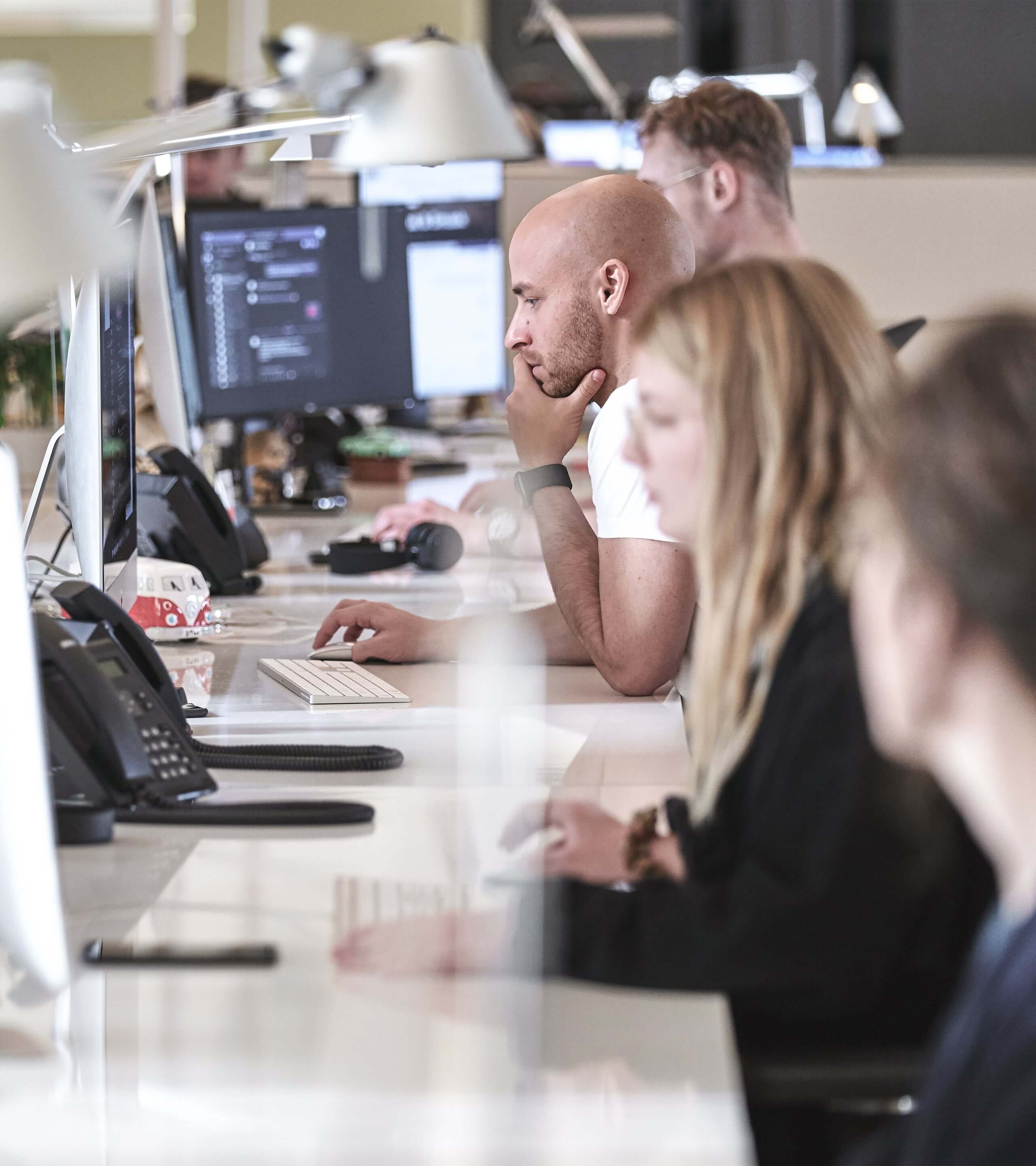 Web- und Software-Entwicklung